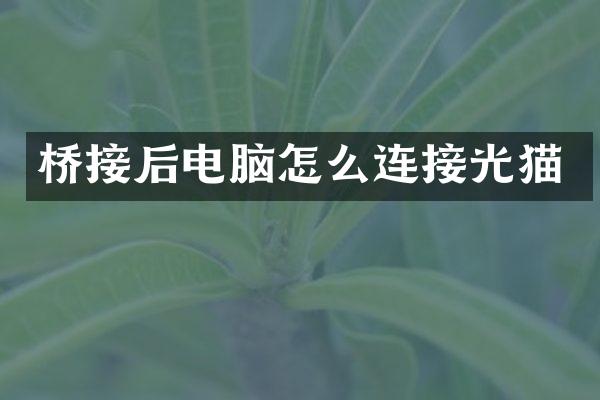 桥接后电脑怎么连接光猫