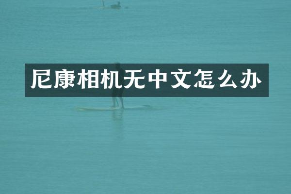 尼康相机无中文怎么办