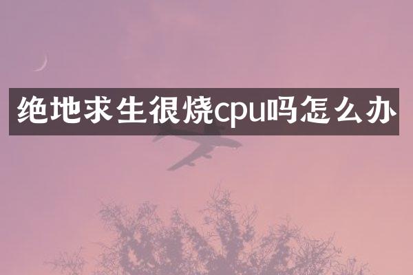 绝地求生很烧cpu吗怎么办