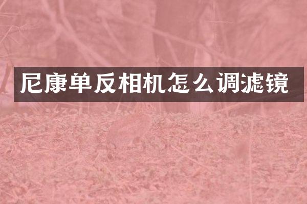尼康单反相机怎么调滤镜