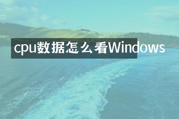 cpu数据怎么看Windows