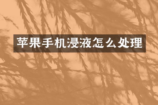 苹果手机浸液怎么处理
