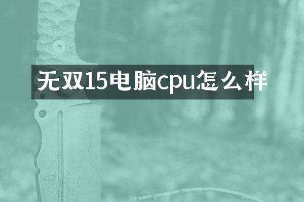 无双15电脑cpu怎么样