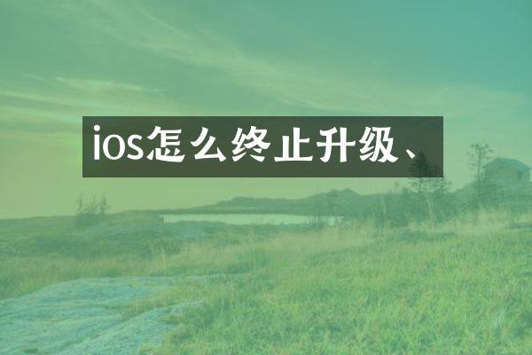 ios怎么终止升级、