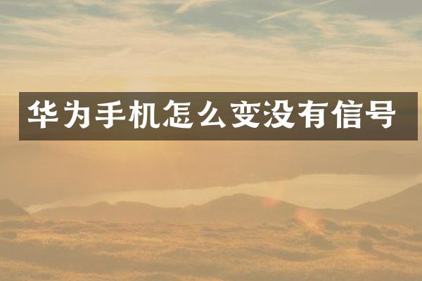 华为手机怎么变没有信号
