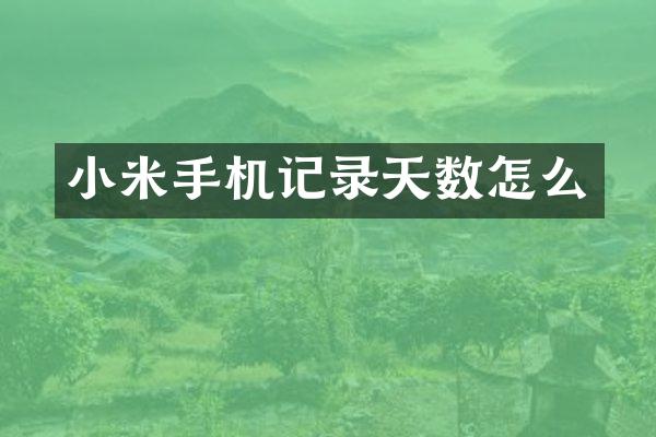 小米手机记录天数怎么