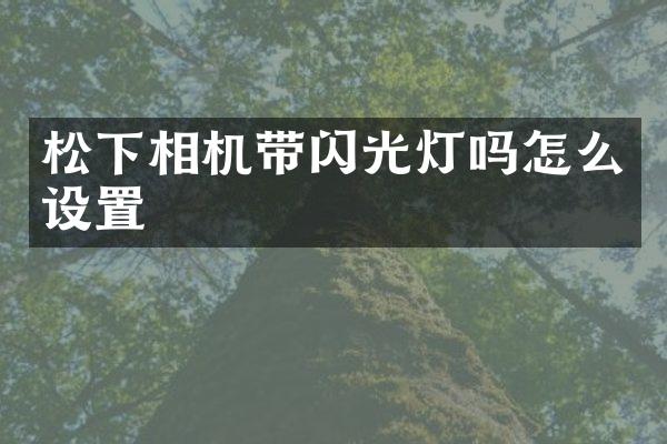 相机带闪光灯吗怎么设置