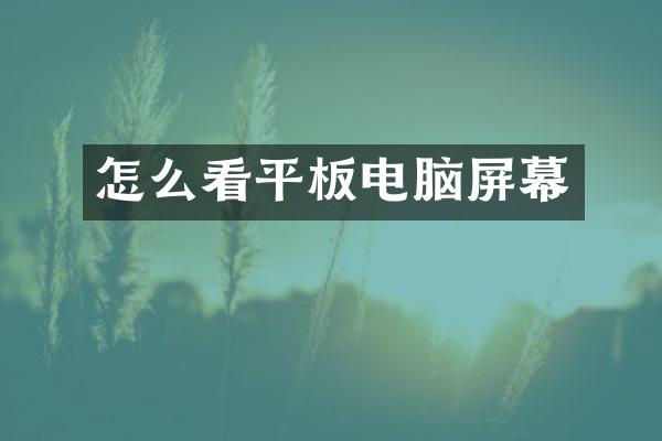 怎么看平板电脑屏幕