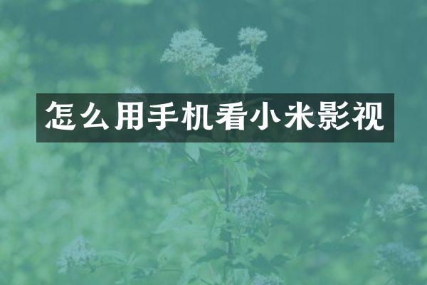 怎么用手机看小米影视