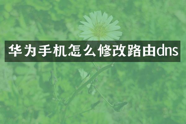 华为手机怎么修改路由dns
