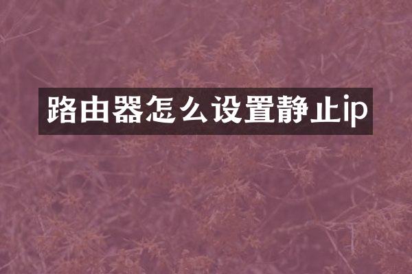 路由器怎么设置静止ip