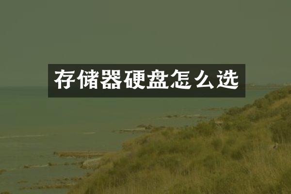 存储器硬盘怎么选