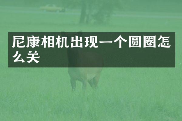 尼康相机出现一个圆圈怎么关