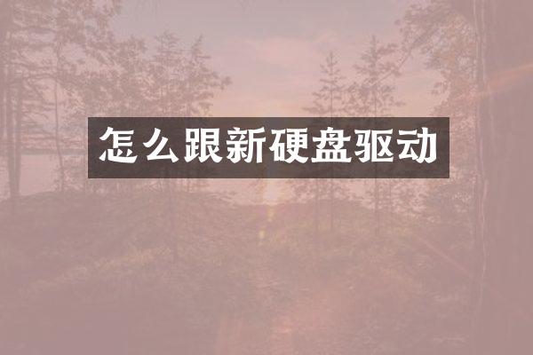 怎么跟新硬盘驱动