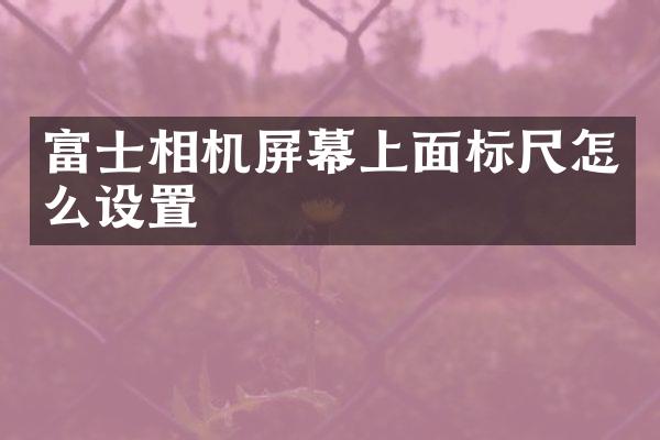 富士相机屏幕上面标尺怎么设置