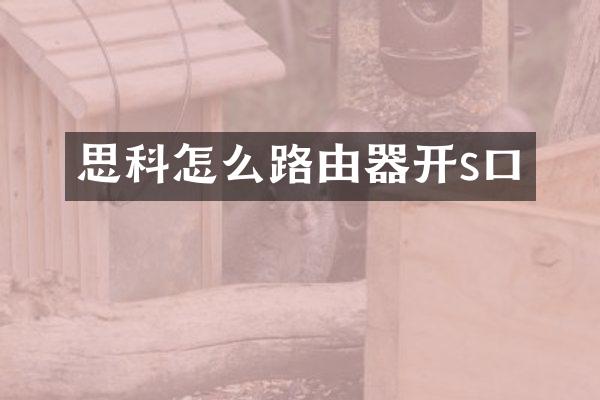 思科怎么路由器开s口