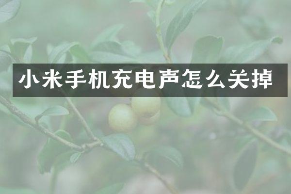 小米手机充电声怎么关掉