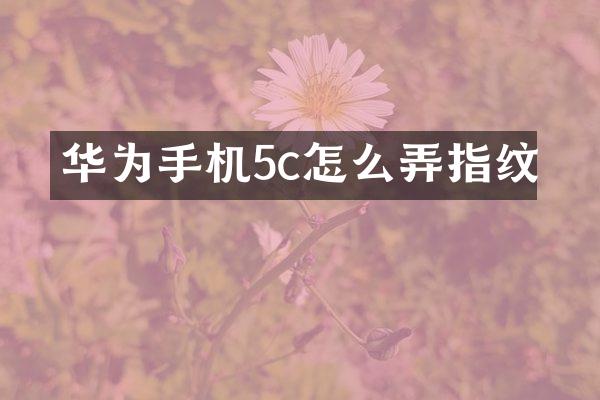 华为手机5c怎么弄指纹
