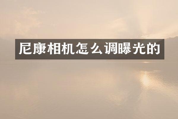 尼康相机怎么调曝光的