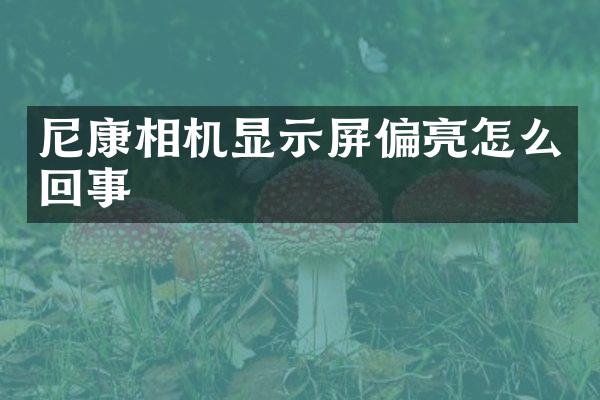 尼康相机显示屏偏亮怎么回事