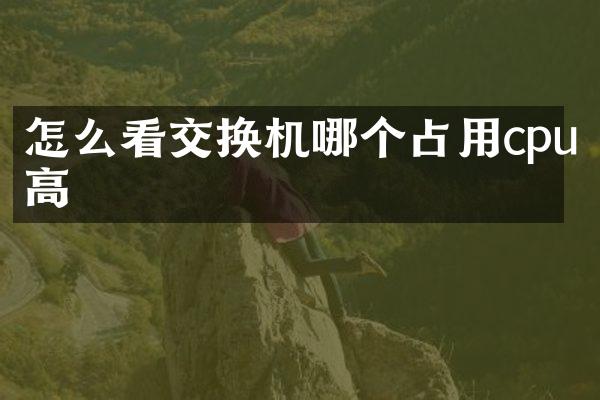 怎么看交换机哪个占用cpu高