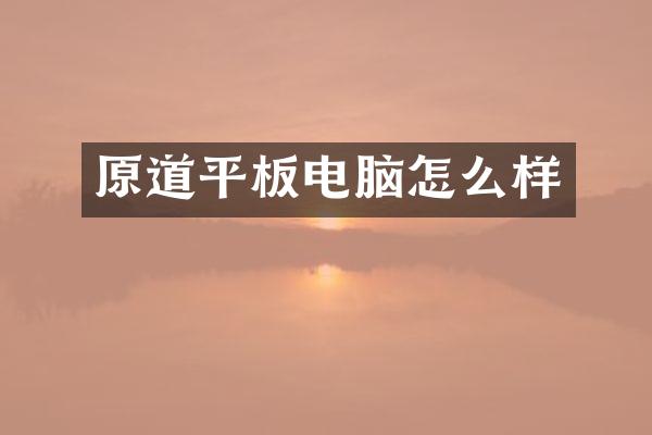 原道平板电脑怎么样