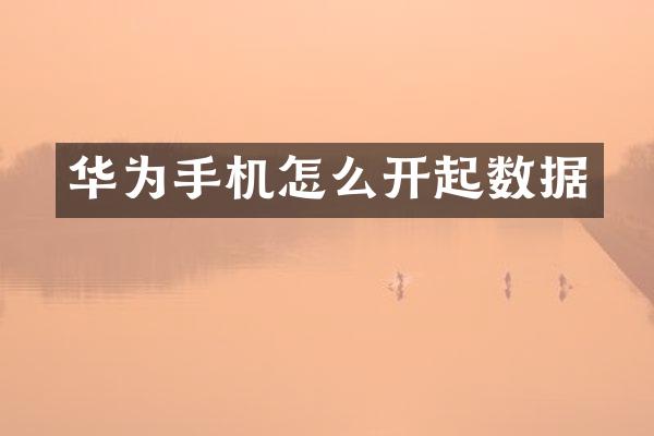 华为手机怎么开起数据