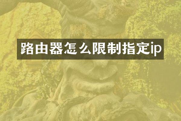 路由器怎么限制指定ip