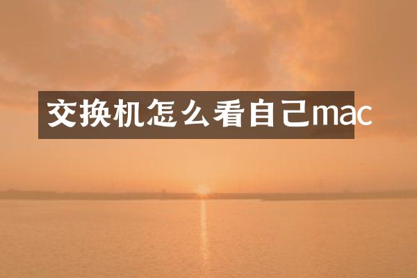 交换机怎么看自己mac