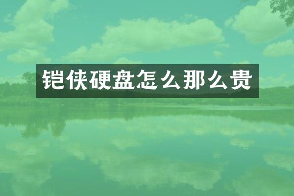 铠侠硬盘怎么那么贵