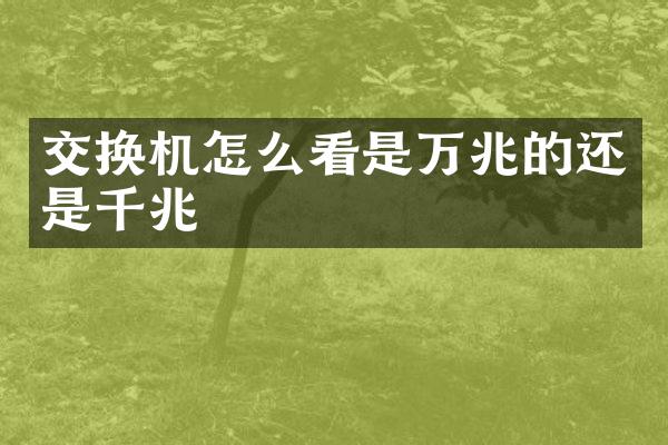 交换机怎么看是万兆的还是千兆