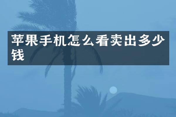 苹果手机怎么看卖出多少钱