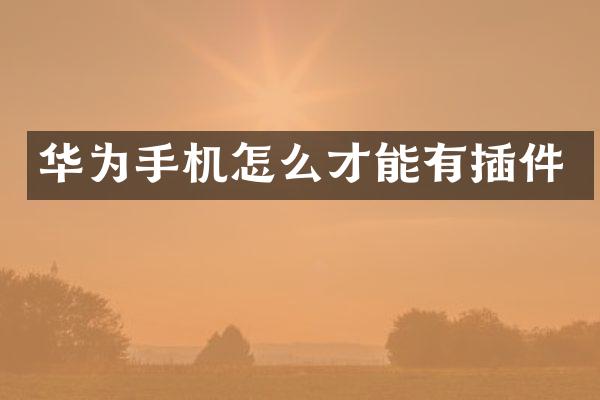 华为手机怎么才能有插件