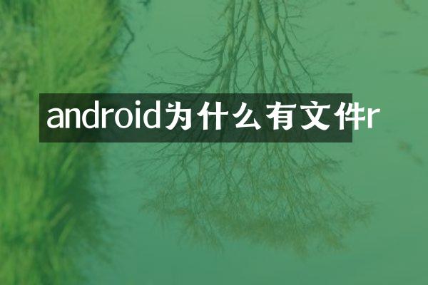 android为什么有文件r