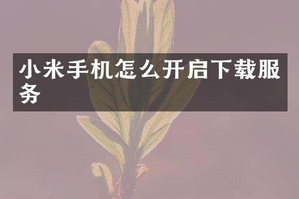 小米手机怎么开启下载服务