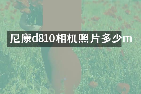 尼康d810相机照片多少m