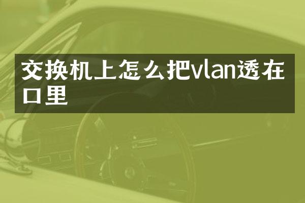 交换机上怎么把vlan透在端口里