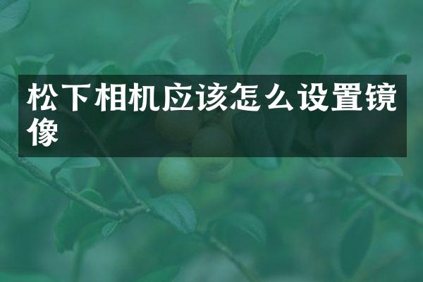 相机应该怎么设置镜像