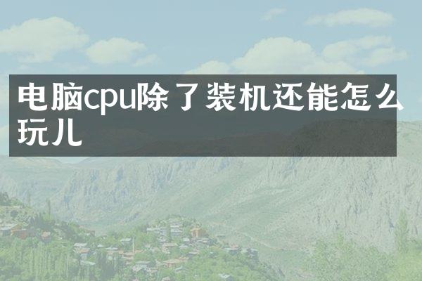 电脑cpu除了装机还能怎么玩儿