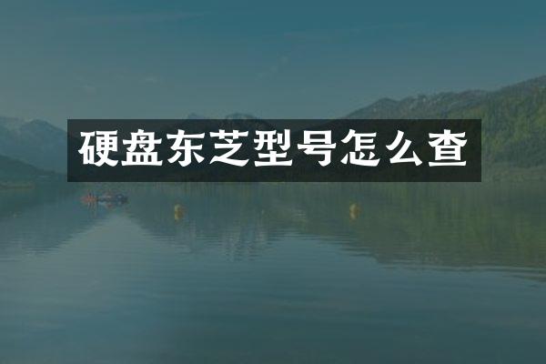 硬盘东芝型号怎么查