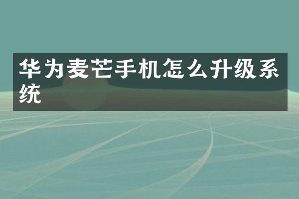 华为麦芒手机怎么升级系统