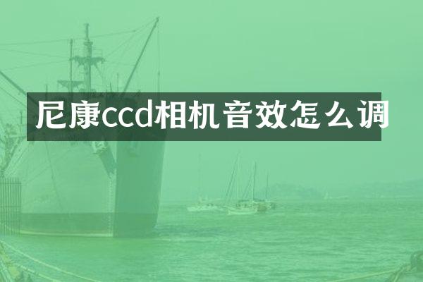 尼康ccd相机音效怎么调