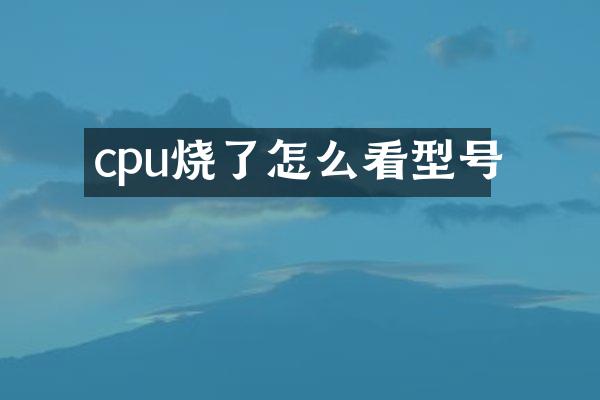 cpu烧了怎么看型号
