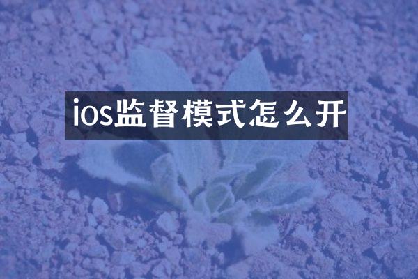 ios监督模式怎么开