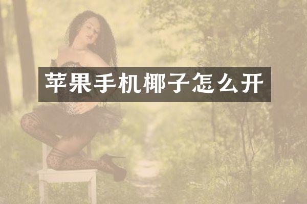 苹果手机椰子怎么开