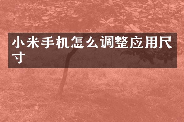 小米手机怎么调整应用尺寸