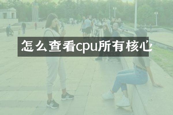 怎么查看cpu所有核心
