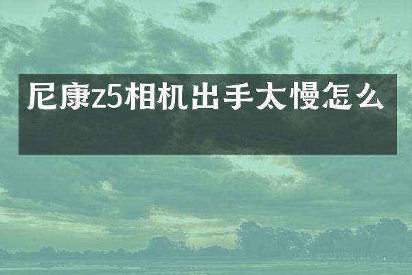 尼康z5相机出手太慢怎么办