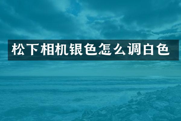 相机银色怎么调白色