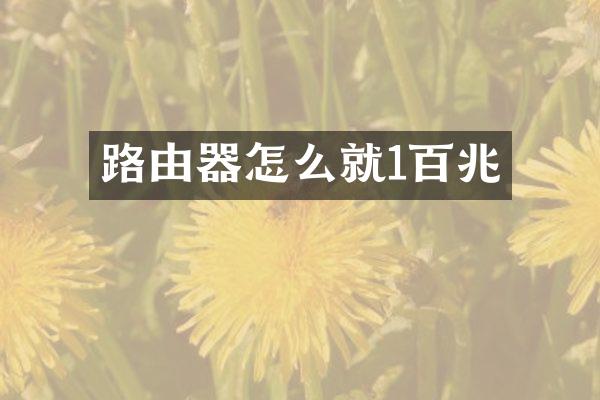 路由器怎么就1百兆